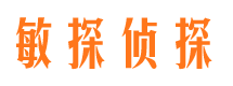 湖滨侦探公司